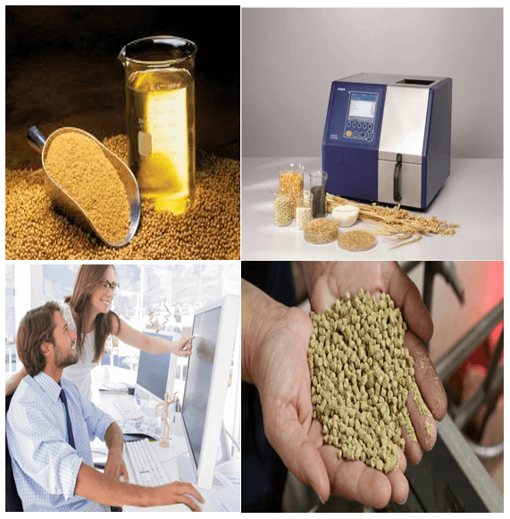 Nutrición de precisión para pollo de engorde de alto desempeño - Image 1