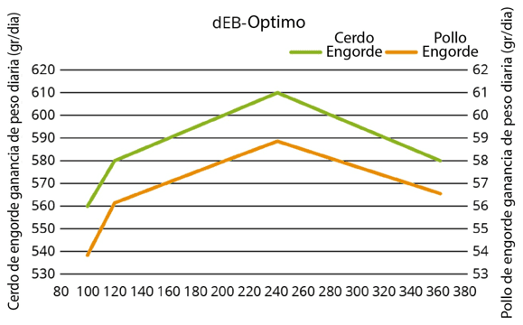 Nutrición de precisión para pollo de engorde de alto desempeño - Image 14