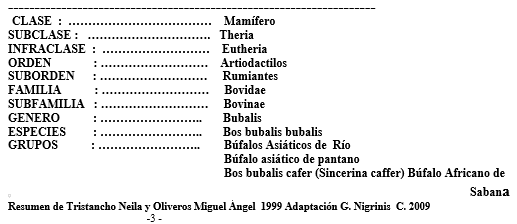 Los búfalos de agua - Image 1