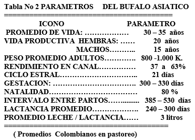 Los búfalos de agua - Image 5