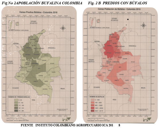 Los búfalos de agua - Image 8