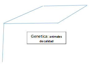 Como lograr mas eficiencia en la producción animal para que tu empresa sea mas rentable - Image 3