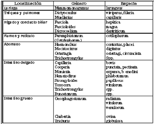 Epidemiología y control del parasitismo gastrointestinal en bovinos - Image 1
