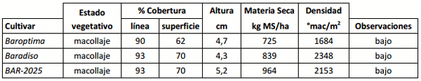 Implantación de cultivares de festuca en la Cuenca del Salado - Image 3