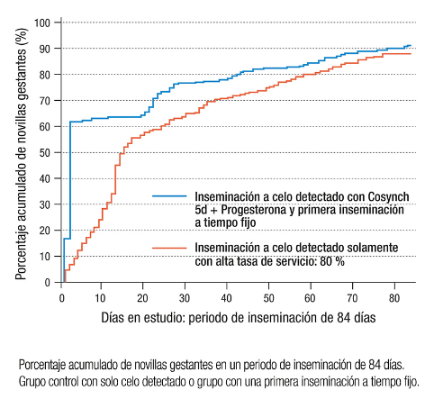 La implementación sistemática de una primera inseminación a tiempo fijo en novillas reduce los costes por gestación - Image 2