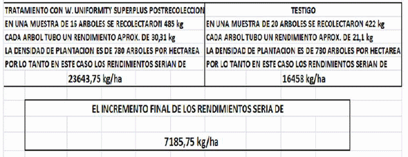 Inducción y diferenciación floral por reservas y equilibrios hormonales en: Cereza - Melocotón y Albaricoque - Image 10