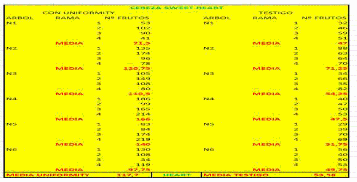 Inducción y diferenciación floral por reservas y equilibrios hormonales en: Cereza - Melocotón y Albaricoque - Image 24