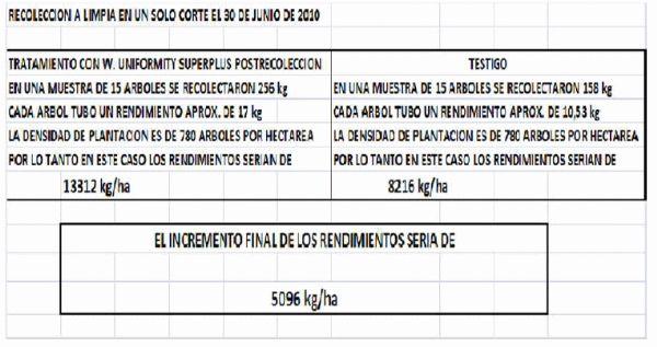 Inducción y diferenciación floral por reservas y equilibrios hormonales en: Cereza - Melocotón y Albaricoque - Image 8