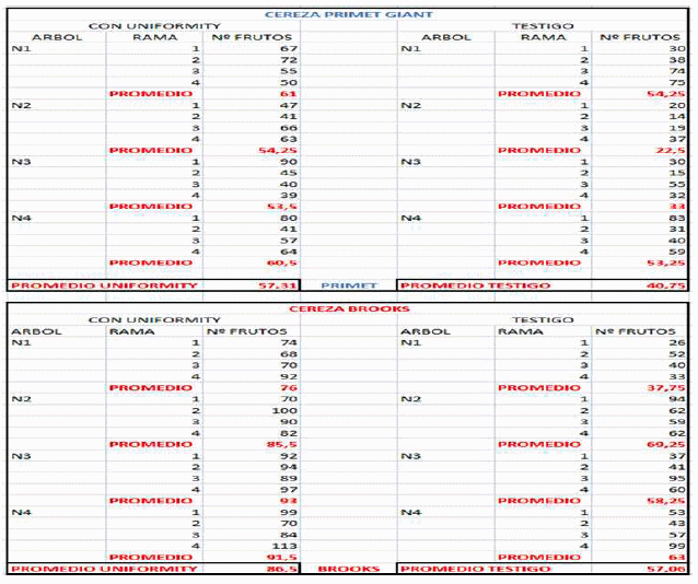 Inducción y diferenciación floral por reservas y equilibrios hormonales en: Cereza - Melocotón y Albaricoque - Image 16