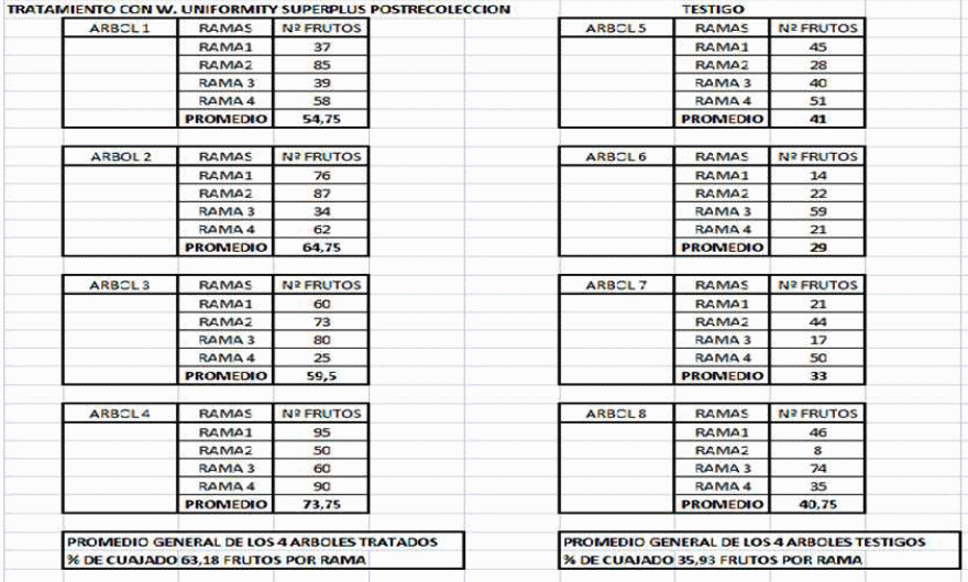 Inducción y diferenciación floral por reservas y equilibrios hormonales en: Cereza - Melocotón y Albaricoque - Image 3