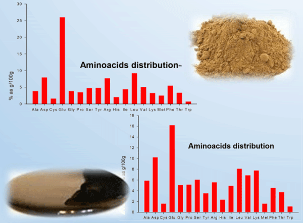 Formulación de nuevo pienso complementario rico en Glutamina en forma de péptidos - Image 2