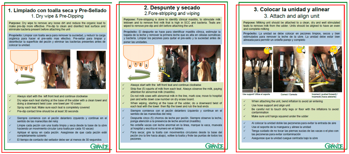 Cinco Factores Clave en Programas de Mejoramiento de Calidad de la Leche - Image 18