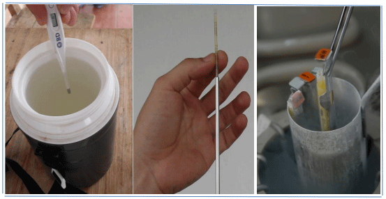 El uso de la técnica de inseminación artificial como pilar fundamental del mejoramiento genético de bovinos - Image 2