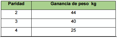 Alimentación de la cerda gestante - Image 3