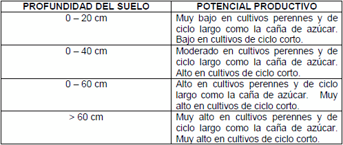 Limitantes de suelo más comunes que se pueden visualizar en campo - Image 5