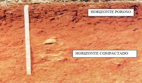 Limitantes de suelo más comunes que se pueden visualizar en campo - Image 1