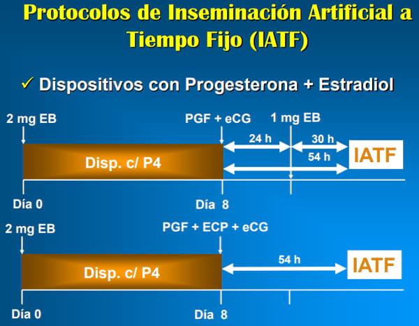 Manejo Reproductivo para mejorar la Productividad Lechera - Image 35