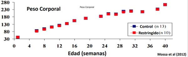 Manejo Reproductivo para mejorar la Productividad Lechera - Image 17