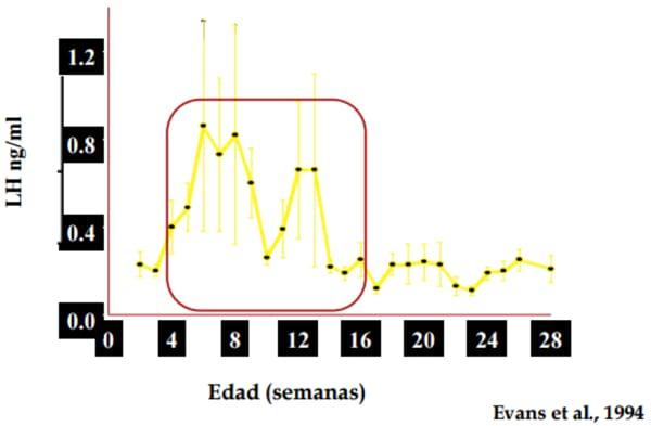 Manejo Reproductivo para mejorar la Productividad Lechera - Image 21