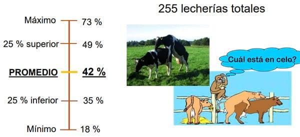 Manejo Reproductivo para mejorar la Productividad Lechera - Image 25