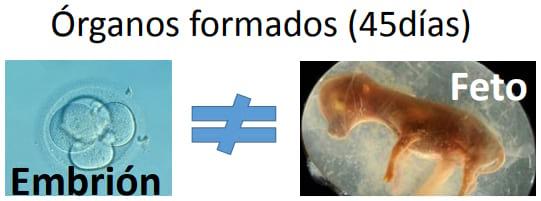 Manejo Reproductivo para mejorar la Productividad Lechera - Image 14