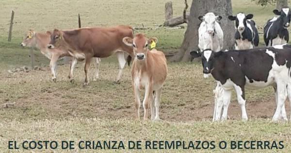 Eficiencia en la empresa lechera, el costo de producción - Image 34