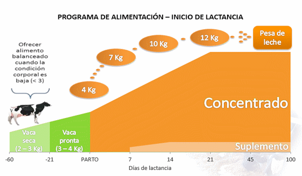 Eficiencia en la empresa lechera, el costo de producción - Image 33