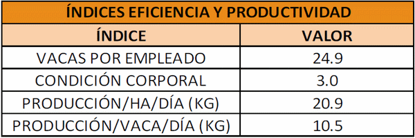Eficiencia en la empresa lechera, el costo de producción - Image 42