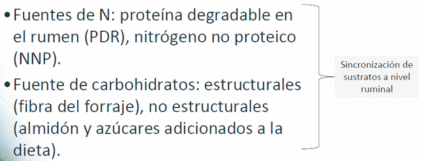 Eficiencia en la empresa lechera, el costo de producción - Image 17