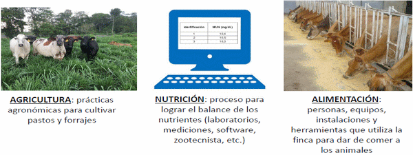 Eficiencia en la empresa lechera, el costo de producción - Image 15