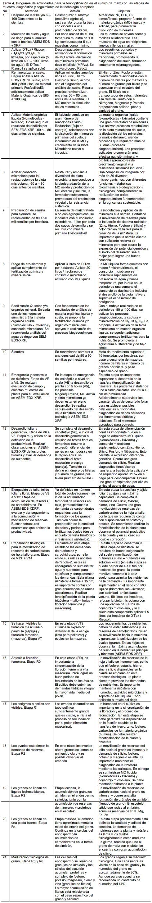 Manejo sustentable de maiz - Image 12