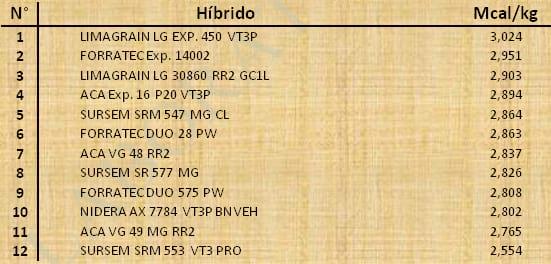 Aptitud Forrajera- Evaluación de híbridos de maíz.- Campaña 2016 – 2017. Determinación del rendimiento y la calidad de la materia seca. - Image 130
