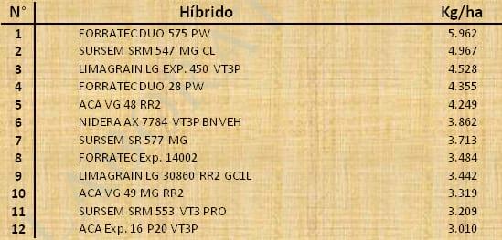 Aptitud Forrajera- Evaluación de híbridos de maíz.- Campaña 2016 – 2017. Determinación del rendimiento y la calidad de la materia seca. - Image 150