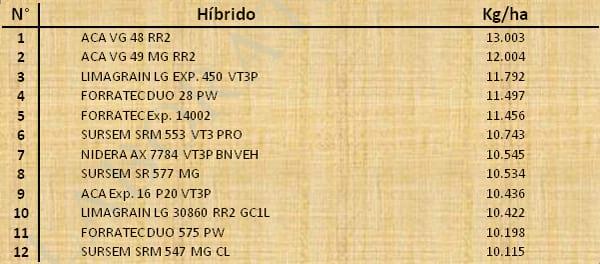 Aptitud Forrajera- Evaluación de híbridos de maíz.- Campaña 2016 – 2017. Determinación del rendimiento y la calidad de la materia seca. - Image 57