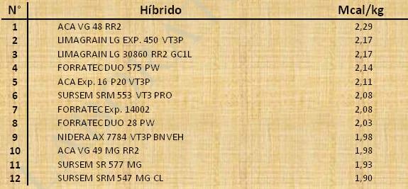Aptitud Forrajera- Evaluación de híbridos de maíz.- Campaña 2016 – 2017. Determinación del rendimiento y la calidad de la materia seca. - Image 49