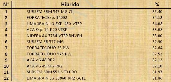 Aptitud Forrajera- Evaluación de híbridos de maíz.- Campaña 2016 – 2017. Determinación del rendimiento y la calidad de la materia seca. - Image 113