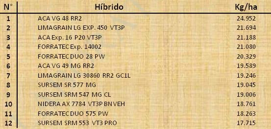 Aptitud Forrajera- Evaluación de híbridos de maíz.- Campaña 2016 – 2017. Determinación del rendimiento y la calidad de la materia seca. - Image 81
