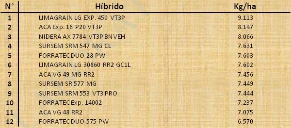 Aptitud Forrajera- Evaluación de híbridos de maíz.- Campaña 2016 – 2017. Determinación del rendimiento y la calidad de la materia seca. - Image 43