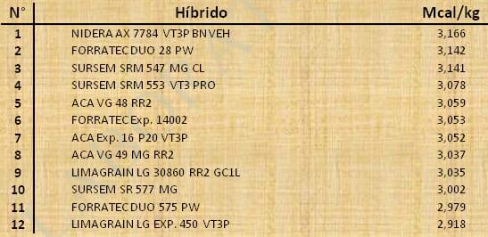 Aptitud Forrajera- Evaluación de híbridos de maíz.- Campaña 2016 – 2017. Determinación del rendimiento y la calidad de la materia seca. - Image 79