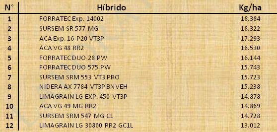 Aptitud Forrajera- Evaluación de híbridos de maíz.- Campaña 2016 – 2017. Determinación del rendimiento y la calidad de la materia seca. - Image 84