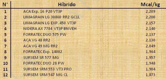 Aptitud Forrajera- Evaluación de híbridos de maíz.- Campaña 2016 – 2017. Determinación del rendimiento y la calidad de la materia seca. - Image 99