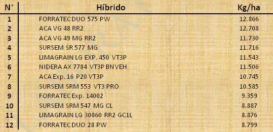 Aptitud Forrajera- Evaluación de híbridos de maíz.- Campaña 2016 – 2017. Determinación del rendimiento y la calidad de la materia seca. - Image 85