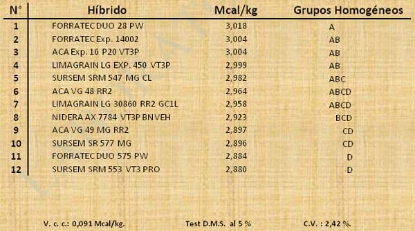 Aptitud Forrajera- Evaluación de híbridos de maíz.- Campaña 2016 – 2017. Determinación del rendimiento y la calidad de la materia seca. - Image 30