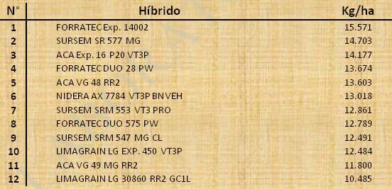 Aptitud Forrajera- Evaluación de híbridos de maíz.- Campaña 2016 – 2017. Determinación del rendimiento y la calidad de la materia seca. - Image 93