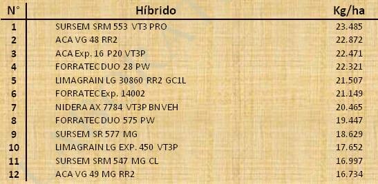 Aptitud Forrajera- Evaluación de híbridos de maíz.- Campaña 2016 – 2017. Determinación del rendimiento y la calidad de la materia seca. - Image 132