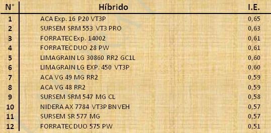 Aptitud Forrajera- Evaluación de híbridos de maíz.- Campaña 2016 – 2017. Determinación del rendimiento y la calidad de la materia seca. - Image 137