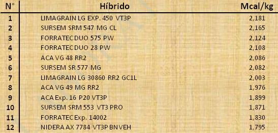 Aptitud Forrajera- Evaluación de híbridos de maíz.- Campaña 2016 – 2017. Determinación del rendimiento y la calidad de la materia seca. - Image 148