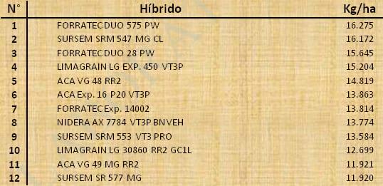 Aptitud Forrajera- Evaluación de híbridos de maíz.- Campaña 2016 – 2017. Determinación del rendimiento y la calidad de la materia seca. - Image 156