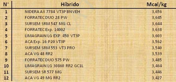 Aptitud Forrajera- Evaluación de híbridos de maíz.- Campaña 2016 – 2017. Determinación del rendimiento y la calidad de la materia seca. - Image 91