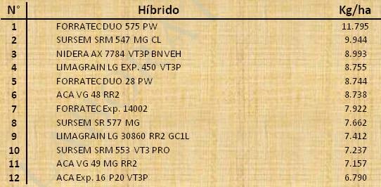Aptitud Forrajera- Evaluación de híbridos de maíz.- Campaña 2016 – 2017. Determinación del rendimiento y la calidad de la materia seca. - Image 135